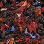 Infuso di frutta in filtri per tè freddo